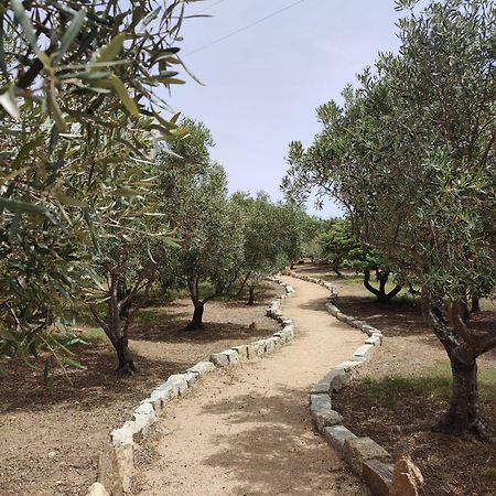 Stazzu Barecca B&B Cugnana Verde Exterior foto